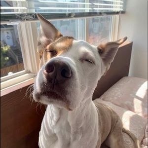 Meet your Posher, Abi